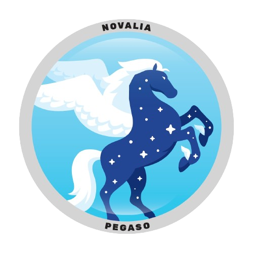 Pegaso Novalia